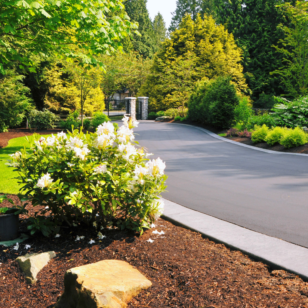 Local Driveway Solutions by WCD in Blacon