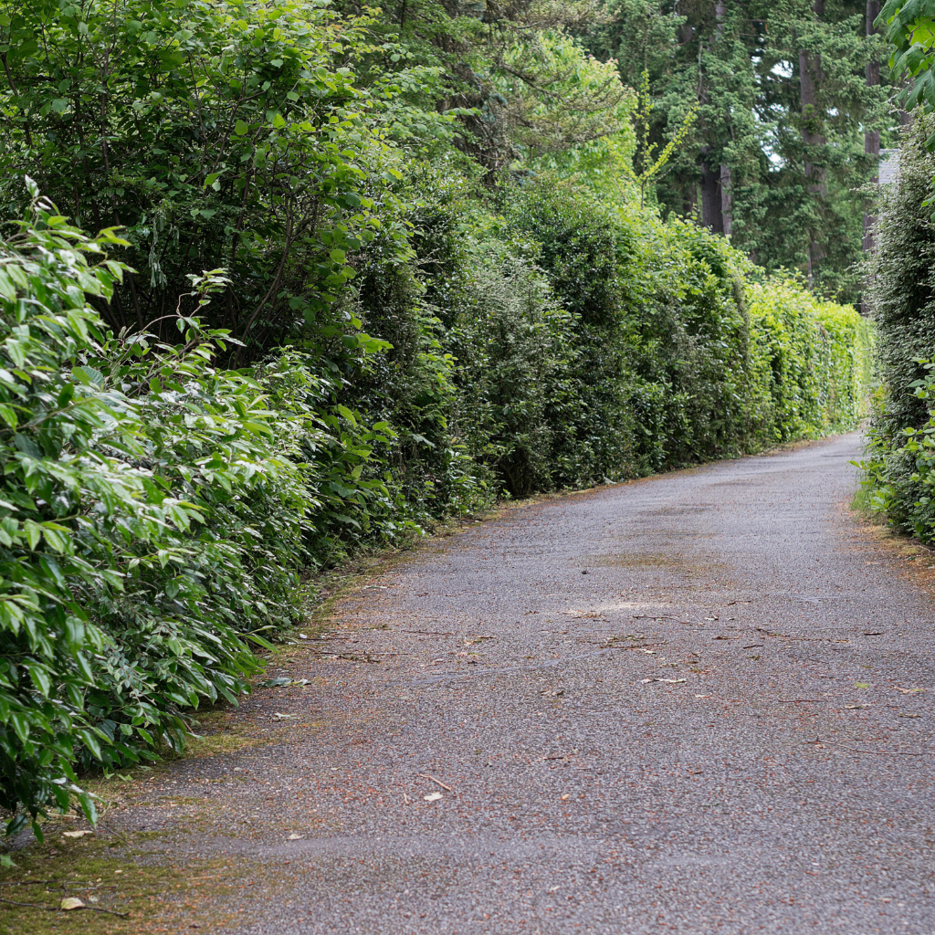 Quality Tarmaced Driveway by WCD Blacon driveway company